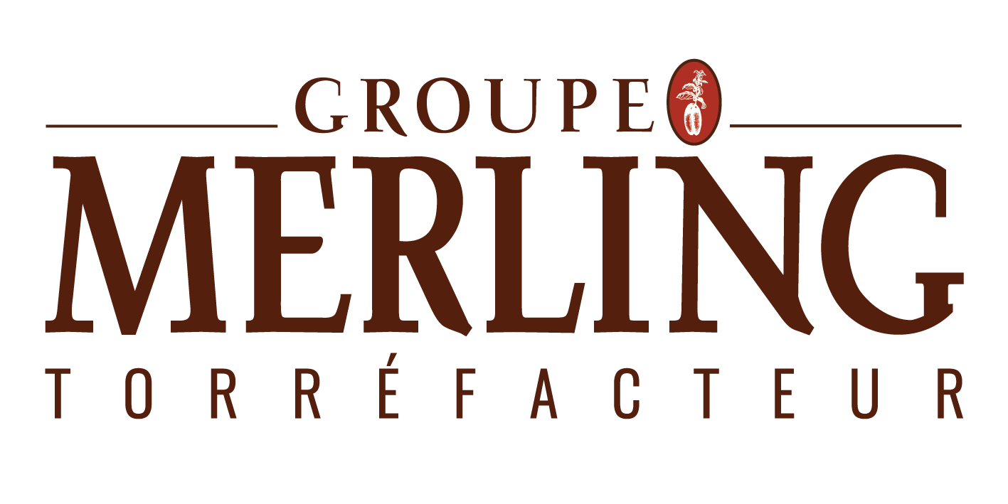 Logo Merling mobile
